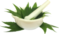Neem